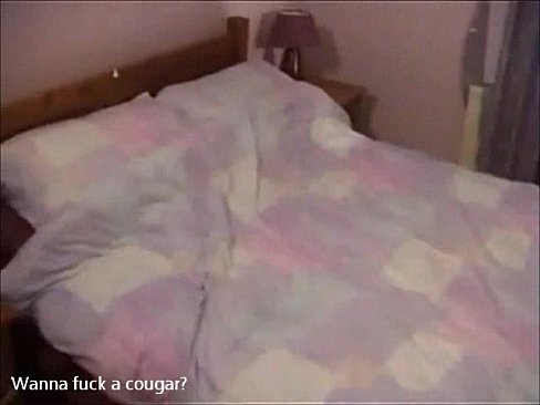 Cougar bed