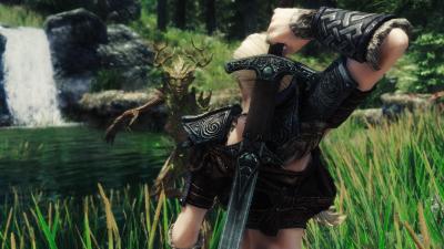 Saint recommend best of skyrim forest nord couple