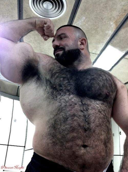 best of Perfection hairy beard muscles arab cock