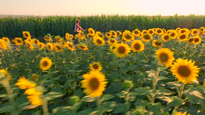 Outdoor cowgirl riding field sunflowers