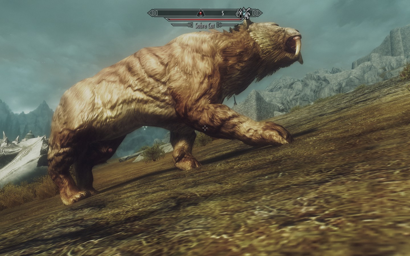 Jelly B. recommendet lovers skyrim werebear beast